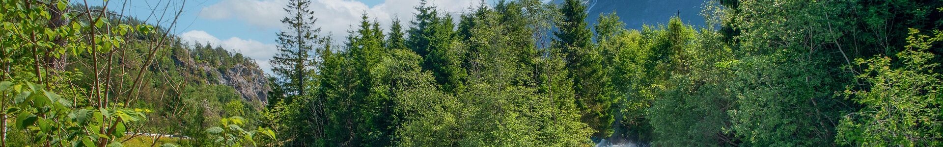 Navigating Careers with Purpose