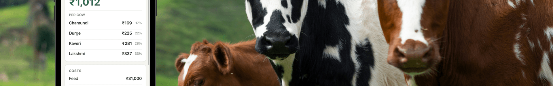 Beyond the Prototype: Shipping a Full-Stack AI Farm App in 48 Hours