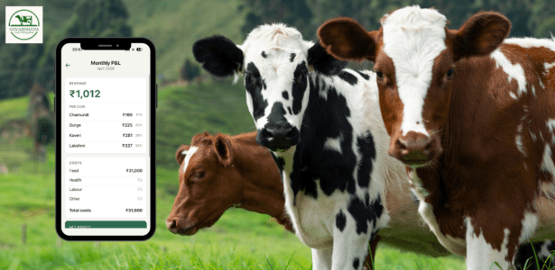 Beyond the Prototype: Shipping a Full-Stack AI Farm App in 48 Hours